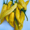 Aji Pineapple